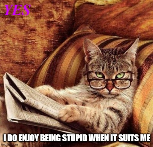 Today is my day | YES; I DO ENJOY BEING STUPID WHEN IT SUITS ME | image tagged in sophisticat,stupidecat,being,dumb,smartass | made w/ Imgflip meme maker