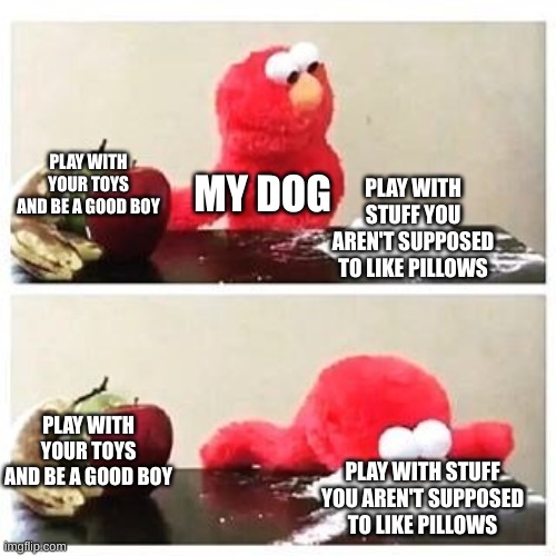 elmo cocaine | PLAY WITH YOUR TOYS AND BE A GOOD BOY; MY DOG; PLAY WITH STUFF YOU AREN'T SUPPOSED TO LIKE PILLOWS; PLAY WITH YOUR TOYS AND BE A GOOD BOY; PLAY WITH STUFF YOU AREN'T SUPPOSED TO LIKE PILLOWS | image tagged in elmo cocaine | made w/ Imgflip meme maker