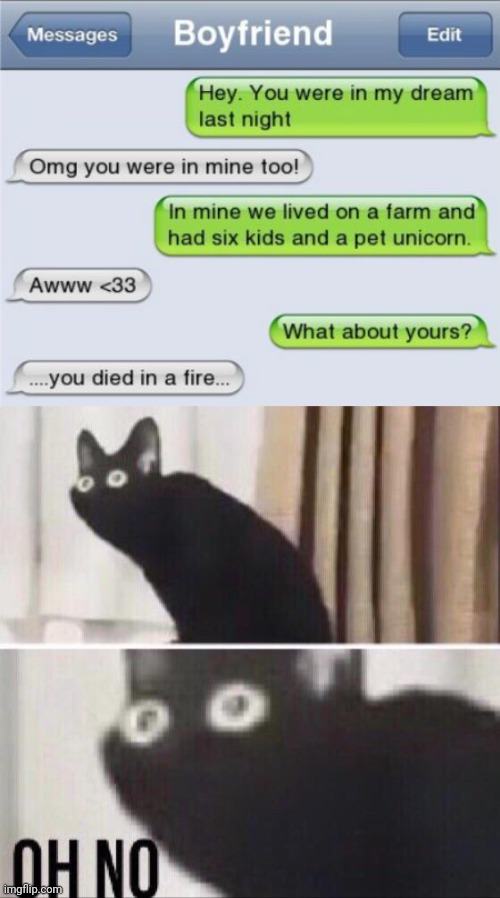 Fire | image tagged in oh no cat,fire,dream,memes,text messages,texts | made w/ Imgflip meme maker