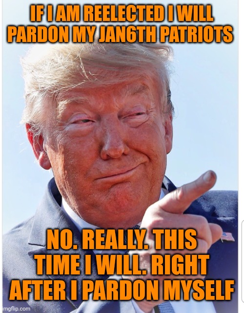 Trump pointing | IF I AM REELECTED I WILL PARDON MY JAN6TH PATRIOTS NO. REALLY. THIS TIME I WILL. RIGHT AFTER I PARDON MYSELF | image tagged in trump pointing | made w/ Imgflip meme maker