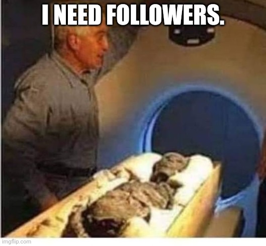 13, to be exact 12 actually | I NEED FOLLOWERS. | image tagged in forbidden cheesesteak | made w/ Imgflip meme maker