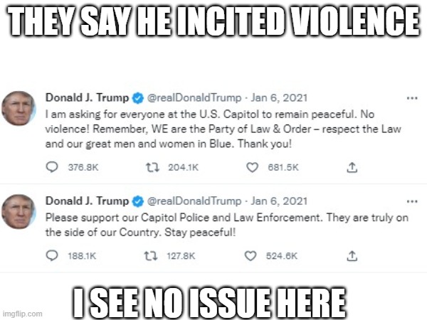 bUt hEe hEe inCitEd vIolEnce | THEY SAY HE INCITED VIOLENCE; I SEE NO ISSUE HERE | image tagged in donald trump,memes,politics | made w/ Imgflip meme maker