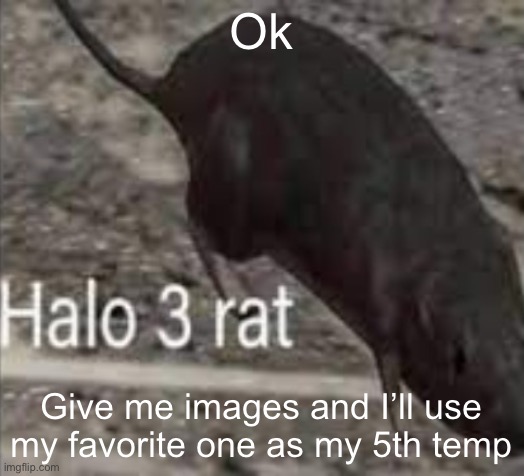 halo 3 rat | Ok; Give me images and I’ll use my favorite one as my 5th temp | image tagged in halo 3 rat | made w/ Imgflip meme maker