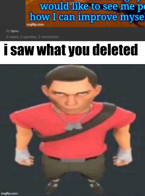also, hi chat | image tagged in i saw what you deleted scout | made w/ Imgflip meme maker