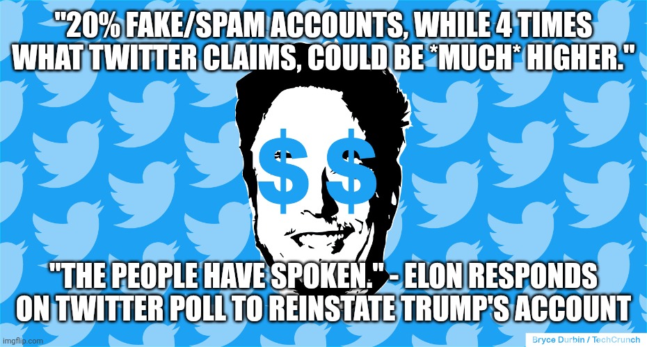 Blue money Elon | "20% FAKE/SPAM ACCOUNTS, WHILE 4 TIMES WHAT TWITTER CLAIMS, COULD BE *MUCH* HIGHER."; "THE PEOPLE HAVE SPOKEN." - ELON RESPONDS ON TWITTER POLL TO REINSTATE TRUMP'S ACCOUNT | image tagged in blue money elon | made w/ Imgflip meme maker