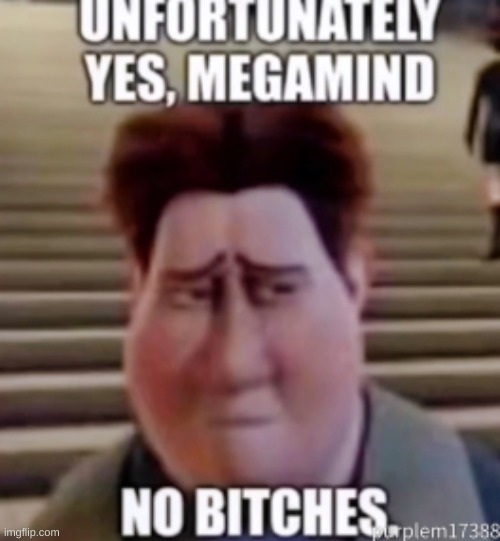 Unfortunately yes, Megamind no bitches | image tagged in unfortunately yes megamind no bitches | made w/ Imgflip meme maker