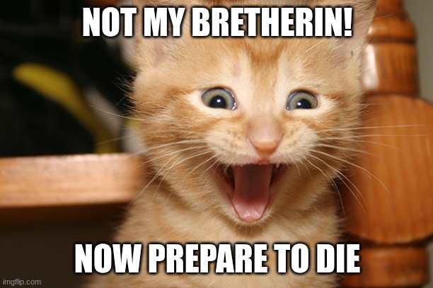 Happy Cat Kitty Smile Orange Tabby | NOT MY BRETHERIN! NOW PREPARE TO DIE | image tagged in happy cat kitty smile orange tabby | made w/ Imgflip meme maker