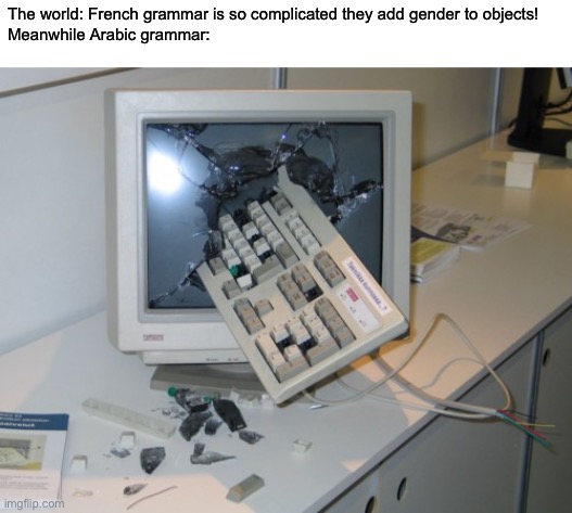 Guys think french is already complicated? | The world: French grammar is so complicated they add gender to objects!
Meanwhile Arabic grammar: | image tagged in broken computer,relatable memes | made w/ Imgflip meme maker