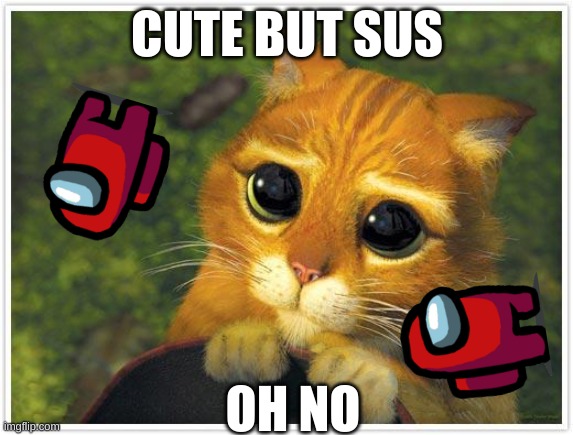 Shrek Cat | CUTE BUT SUS; OH NO | image tagged in memes,shrek cat | made w/ Imgflip meme maker