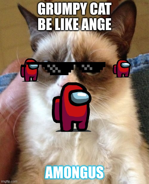 Grumpy Cat | GRUMPY CAT BE LIKE ANGE; AMONGUS | image tagged in memes,grumpy cat | made w/ Imgflip meme maker
