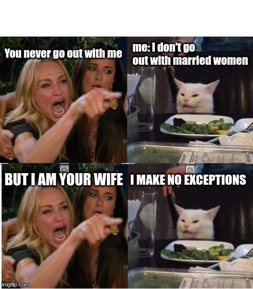 You never go out with me; me: I don't go out with married women; BUT I AM YOUR WIFE; I MAKE NO EXCEPTIONS | image tagged in memes,woman yelling at cat | made w/ Imgflip meme maker