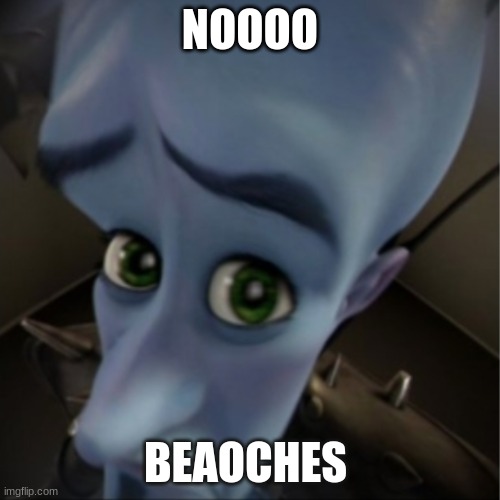 hmmmmm? | NOOOO; BEAOCHES | image tagged in megamind peeking | made w/ Imgflip meme maker