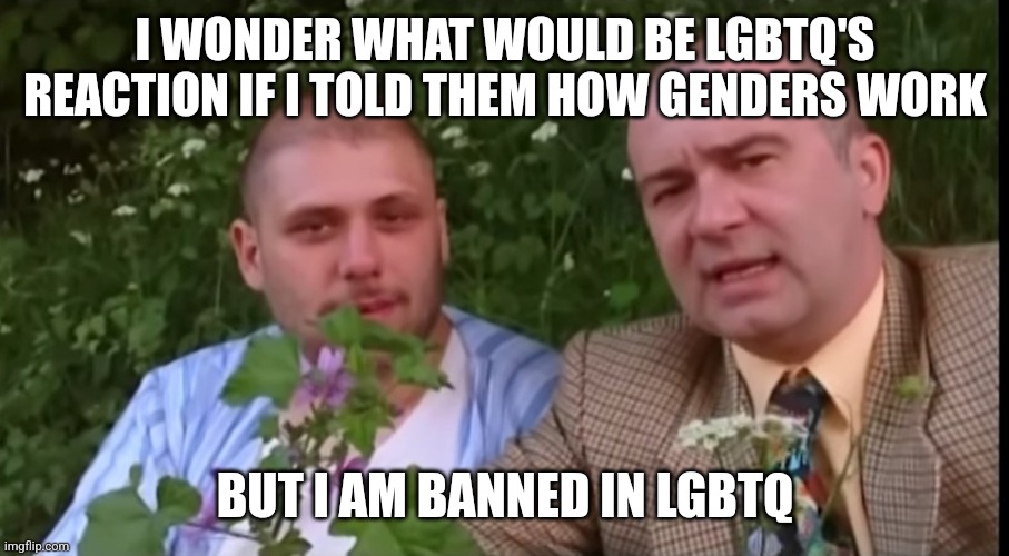 I WONDER WHAT WOULD BE LGBTQ'S REACTION IF I TOLD THEM HOW GENDERS WORK; BUT I AM BANNED IN LGBTQ | made w/ Imgflip meme maker