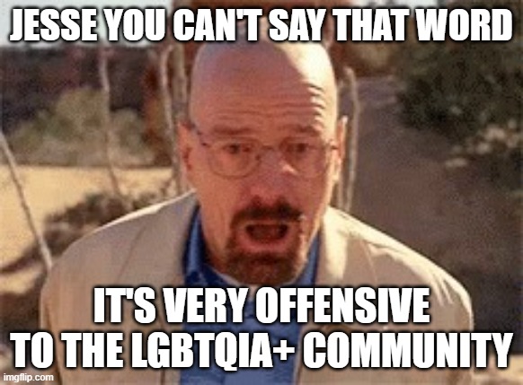 walter white | JESSE YOU CAN'T SAY THAT WORD; IT'S VERY OFFENSIVE TO THE LGBTQIA+ COMMUNITY | image tagged in walter white | made w/ Imgflip meme maker