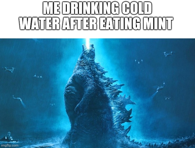 ME DRINKING COLD WATER AFTER EATING MINT | image tagged in relatable,meme,funny,true | made w/ Imgflip meme maker