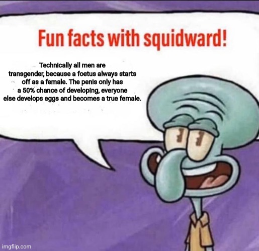 Facts | Technically all men are transgender, because a foetus always starts off as a female. The penis only has a 50% chance of developing, everyone else develops eggs and becomes a true female. | image tagged in fun facts with squidward | made w/ Imgflip meme maker