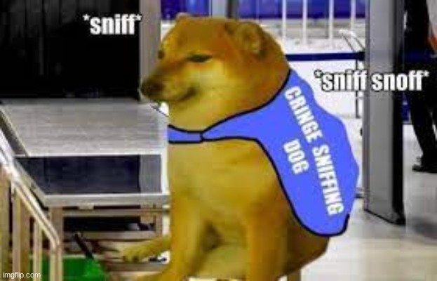 cringe sniffing doge | image tagged in cringe sniffing doge | made w/ Imgflip meme maker