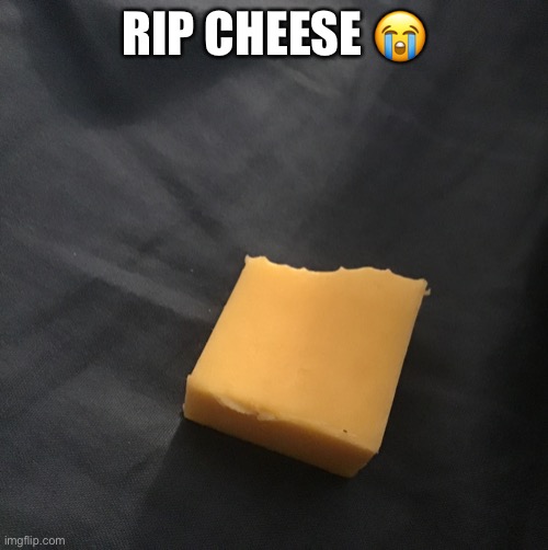 at least he was a good yum yums | RIP CHEESE ? | made w/ Imgflip meme maker