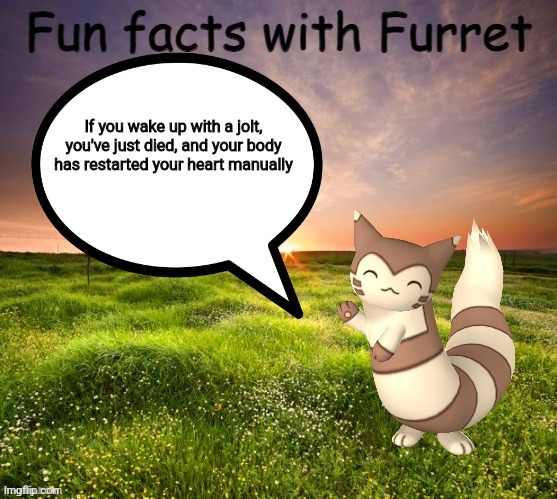 Dark Facts | If you wake up with a jolt, you've just died, and your body has restarted your heart manually | image tagged in fun facts with furret | made w/ Imgflip meme maker