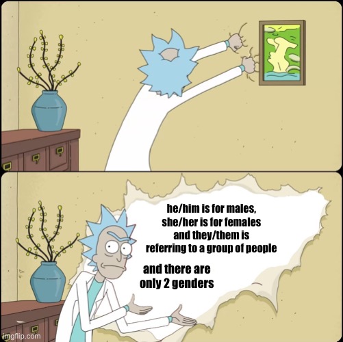 Rick Rips Wallpaper | he/him is for males, she/her is for females and they/them is referring to a group of people; and there are only 2 genders | image tagged in rick rips wallpaper | made w/ Imgflip meme maker