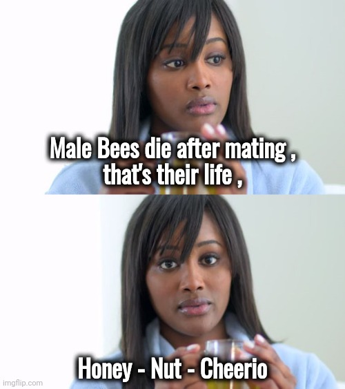 Feel better now | Male Bees die after mating ,
that's their life , Honey - Nut - Cheerio | image tagged in black woman drinking tea 2 panels,bee movie,cheerios,real life | made w/ Imgflip meme maker