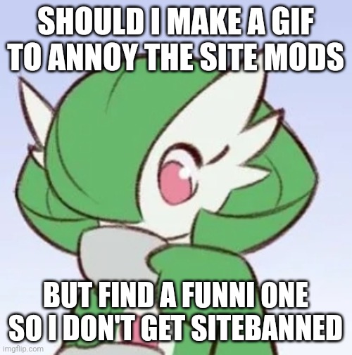 Gardevoir sipping tea | SHOULD I MAKE A GIF TO ANNOY THE SITE MODS; BUT FIND A FUNNI ONE SO I DON'T GET SITEBANNED | image tagged in gardevoir sipping tea | made w/ Imgflip meme maker