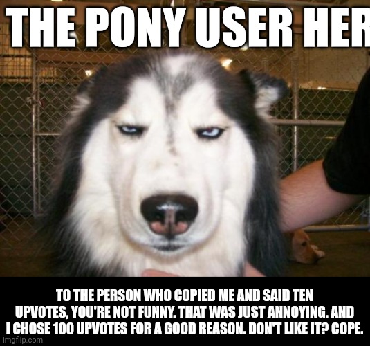 Anymore posts that are anonymous and that change the upvote goal are all frauds (small image editing problem: "here") | THE PONY USER HERE; TO THE PERSON WHO COPIED ME AND SAID TEN UPVOTES, YOU'RE NOT FUNNY. THAT WAS JUST ANNOYING. AND I CHOSE 100 UPVOTES FOR A GOOD REASON. DON'T LIKE IT? COPE. | image tagged in annoyed dog | made w/ Imgflip meme maker