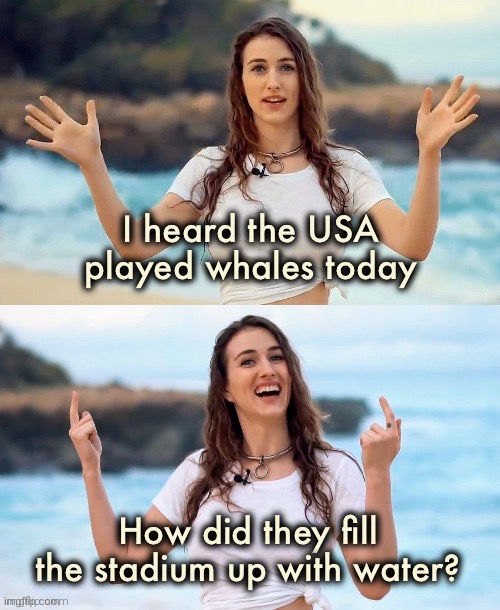 USA vs. whales |  I heard the USA played whales today; How did they fill the stadium up with water? | image tagged in beach joke,usa,whales,world cup,bad joke,dad joke | made w/ Imgflip meme maker