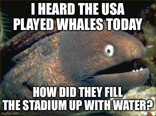 Bad Joke Eel | I HEARD THE USA PLAYED WHALES TODAY; HOW DID THEY FILL THE STADIUM UP WITH WATER? | image tagged in memes,bad joke eel | made w/ Imgflip meme maker