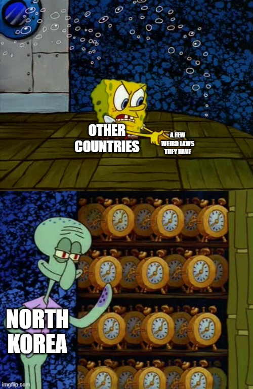 Spongebob vs Squidward Alarm Clocks | A FEW WEIRD LAWS THEY HAVE; OTHER COUNTRIES; NORTH KOREA | image tagged in spongebob vs squidward alarm clocks | made w/ Imgflip meme maker