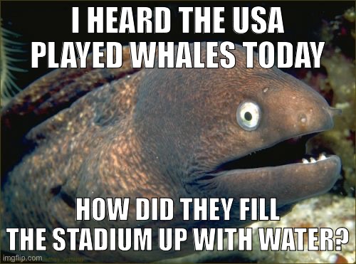 USA played wales? In the middle of the desert? Something's not right | I HEARD THE USA PLAYED WHALES TODAY; HOW DID THEY FILL THE STADIUM UP WITH WATER? | image tagged in memes,bad joke eel,world cup,usa,whales,bad joke | made w/ Imgflip meme maker