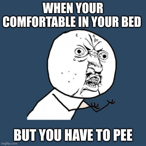 Y U No Meme | WHEN YOUR COMFORTABLE IN YOUR BED; BUT YOU HAVE TO PEE | image tagged in memes,y u no | made w/ Imgflip meme maker