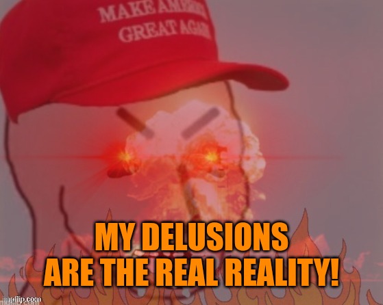 meltdown angry maga npc | MY DELUSIONS ARE THE REAL REALITY! | image tagged in meltdown angry maga npc | made w/ Imgflip meme maker