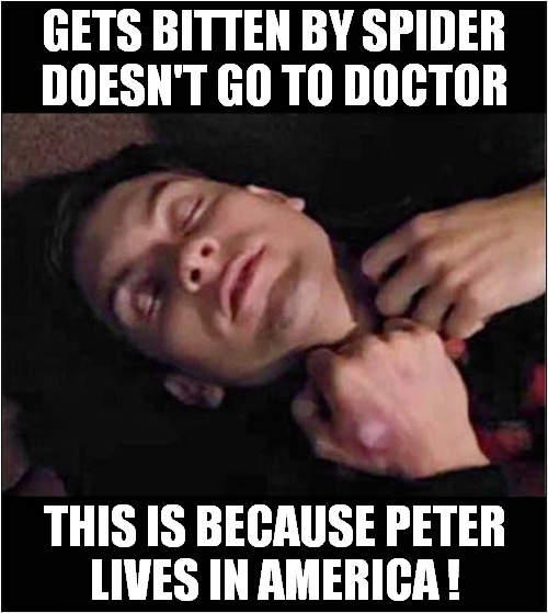 No Free Healthcare ! | GETS BITTEN BY SPIDER
DOESN'T GO TO DOCTOR; THIS IS BECAUSE PETER
LIVES IN AMERICA ! | image tagged in health care,spiderman,peter parker,america | made w/ Imgflip meme maker