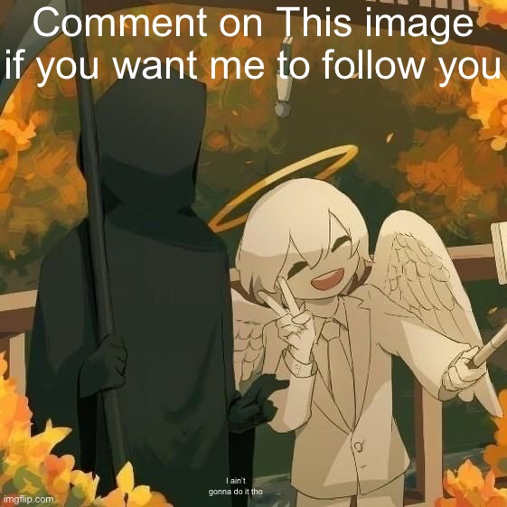 Avogado6 | Comment on This image if you want me to follow you; I ain’t gonna do it tho | image tagged in avogado6 | made w/ Imgflip meme maker