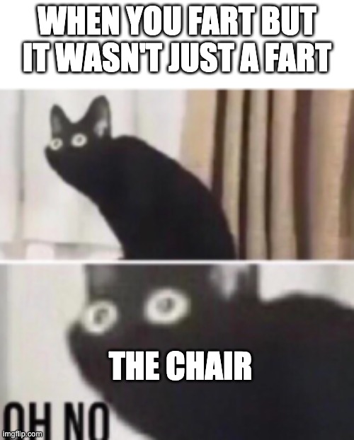 Not Just a fart | WHEN YOU FART BUT IT WASN'T JUST A FART; THE CHAIR | image tagged in oh no cat | made w/ Imgflip meme maker