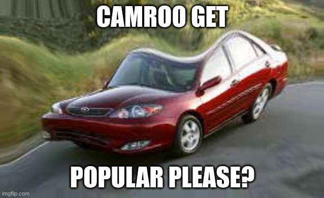 Camry | CAMROO GET; POPULAR PLEASE? | image tagged in camry | made w/ Imgflip meme maker