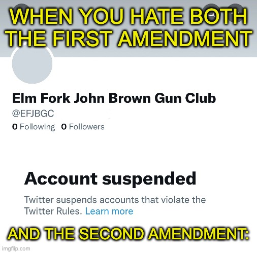 Elon Musk is everything the MAGA crowd should hate. | WHEN YOU HATE BOTH THE FIRST AMENDMENT; AND THE SECOND AMENDMENT: | image tagged in elon musk,free speech,second amendment,gun rights,john brown,twitter | made w/ Imgflip meme maker