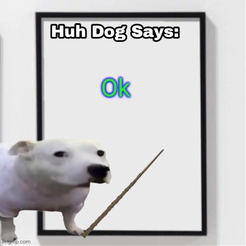 Huh Dog Says | Ok | image tagged in huh dog says | made w/ Imgflip meme maker