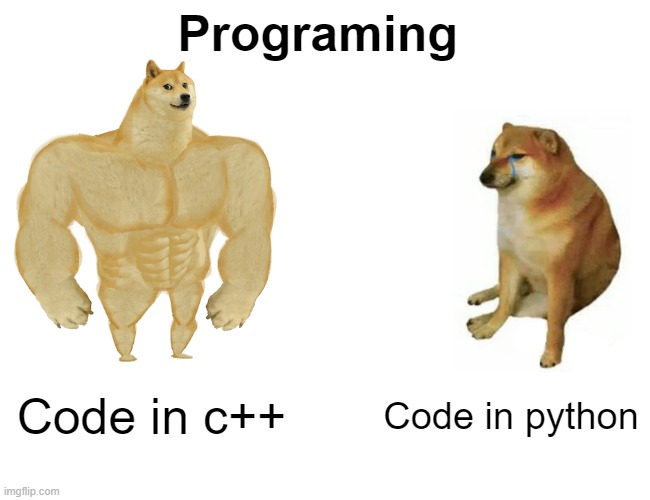 Programing meme | Programing; Code in c++; Code in python | image tagged in memes,buff doge vs cheems,programming | made w/ Imgflip meme maker