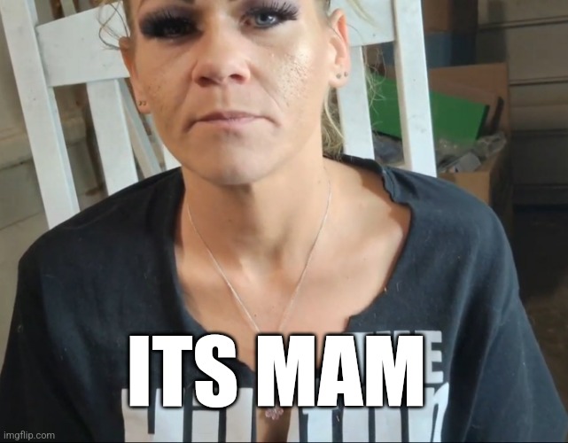 Just sayin | ITS MAM | made w/ Imgflip meme maker