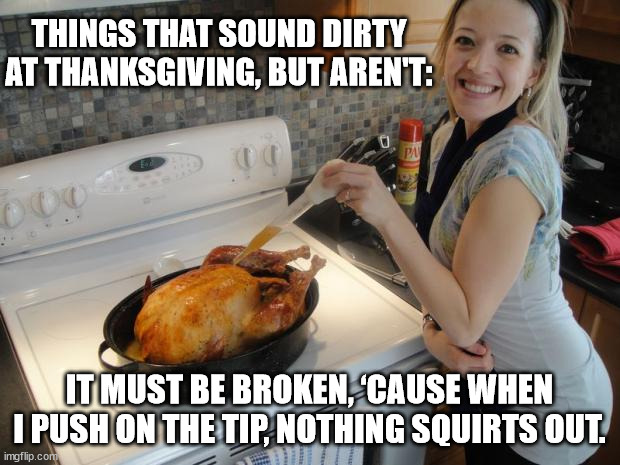 Things That Sound Dirty At Thanksgiving (Part 4) | THINGS THAT SOUND DIRTY AT THANKSGIVING, BUT AREN'T:; IT MUST BE BROKEN, ‘CAUSE WHEN I PUSH ON THE TIP, NOTHING SQUIRTS OUT. | image tagged in turkey baste,thanksgiving,humor,funny,double entendre | made w/ Imgflip meme maker