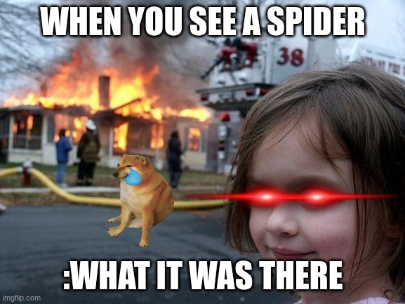 spider fire | WHEN YOU SEE A SPIDER; :WHAT IT WAS THERE | image tagged in memes,disaster girl | made w/ Imgflip meme maker