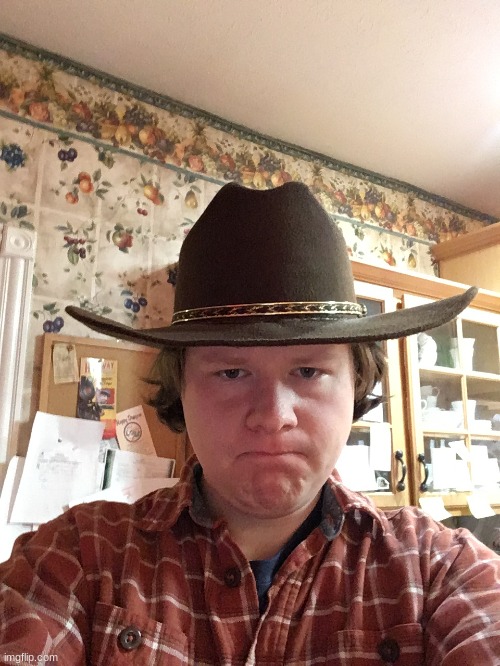 Disgusted cowboy | image tagged in disgusted cowboy | made w/ Imgflip meme maker