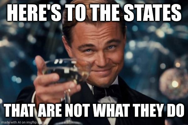 Leonardo Dicaprio Cheers | HERE'S TO THE STATES; THAT ARE NOT WHAT THEY DO | image tagged in memes,leonardo dicaprio cheers | made w/ Imgflip meme maker