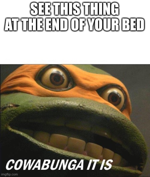 Cowabunga It Is | SEE THIS THING AT THE END OF YOUR BED | image tagged in cowabunga it is,teenage mutant ninja turtles | made w/ Imgflip meme maker