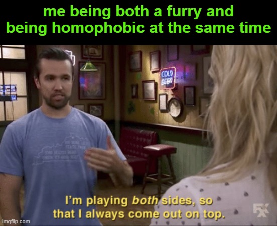 im also the ceo of racism | me being both a furry and being homophobic at the same time | image tagged in i play both sides | made w/ Imgflip meme maker