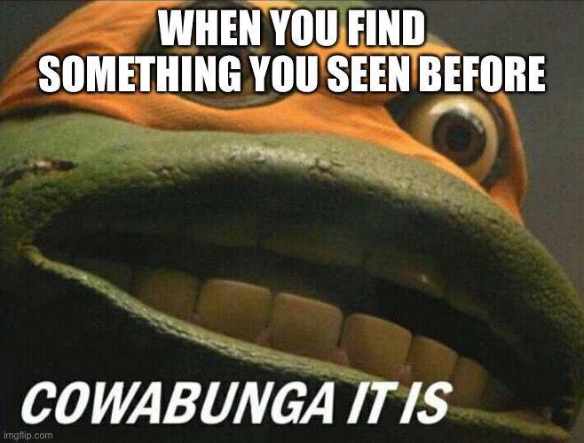 Cowabunga it is | WHEN YOU FIND SOMETHING YOU SEEN BEFORE | image tagged in cowabunga it is | made w/ Imgflip meme maker