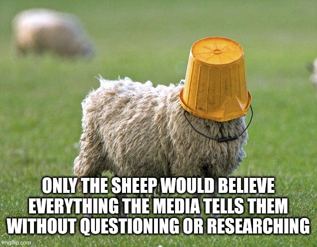 stupid sheep | ONLY THE SHEEP WOULD BELIEVE EVERYTHING THE MEDIA TELLS THEM WITHOUT QUESTIONING OR RESEARCHING | image tagged in stupid sheep | made w/ Imgflip meme maker
