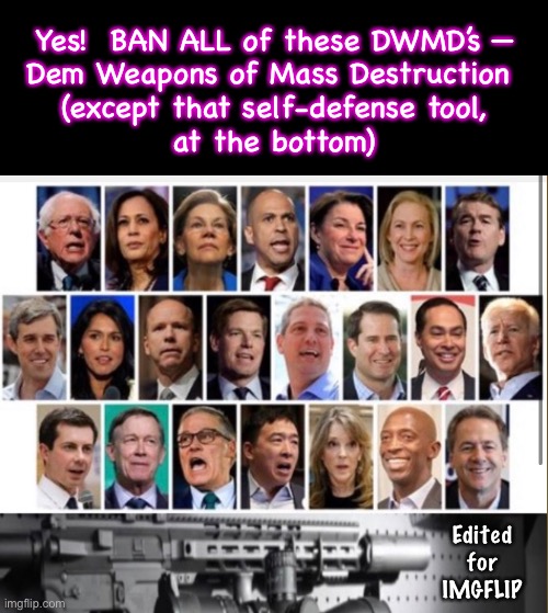 Weapons Ban - anything with a (D) | Yes!  BAN ALL of these DWMD’s —
Dem Weapons of Mass Destruction 
(except that self-defense tool,
at the bottom); Edited
for
IMGFLIP | image tagged in memes,anti america,anti american,country killers,destroying everything that is good n right,fjb voters progs leftists kissmyass | made w/ Imgflip meme maker